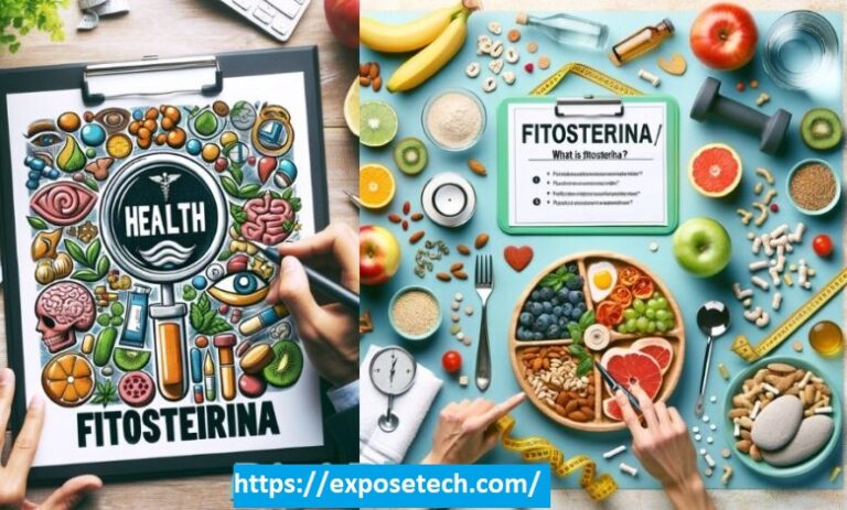 Unveiling the Power of Phytosterols: A Comprehensive Guide to Fitosterina