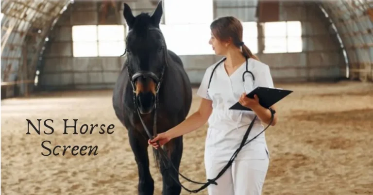 Unveiling the Ns horse screen: Revolutionizing Equestrian Health Monitoring