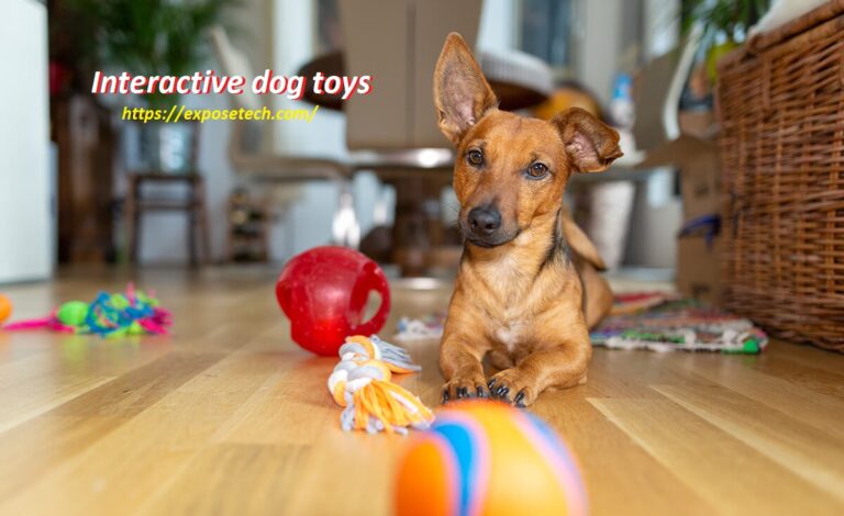 Unleashing Fun: The Rise of Interactive dog toys