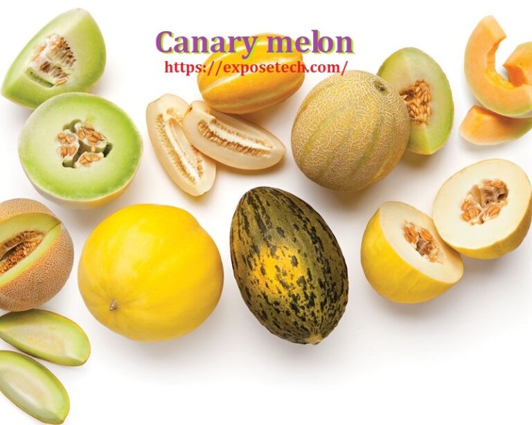 Unlocking the Sweetness: Exploring the Delightful World of Canary melon