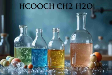Understanding HCOOCH CH2 H2O A Dive into Chemistry Basics