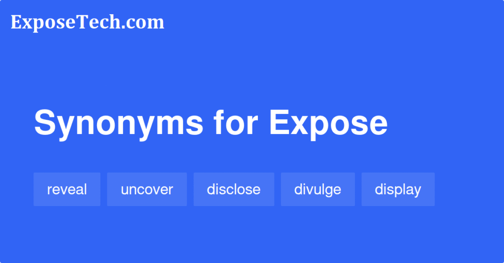 Expose Synonym Exploring Alternative Words and Their Nuances