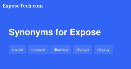 Expose Synonym Exploring Alternative Words and Their Nuances